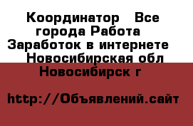 ONLINE Координатор - Все города Работа » Заработок в интернете   . Новосибирская обл.,Новосибирск г.